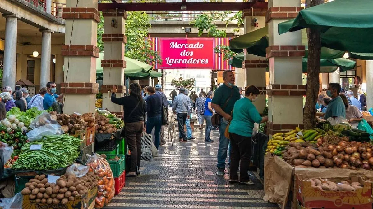 아파트 Green Living-Funchal 포르투갈